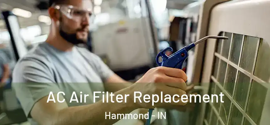  AC Air Filter Replacement Hammond - IN