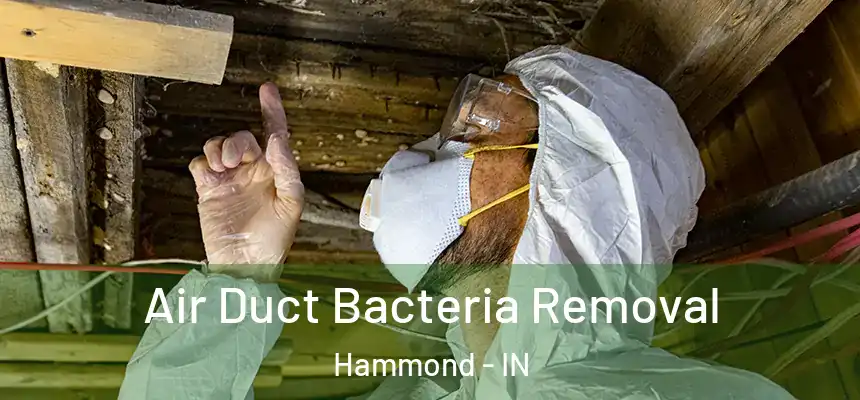 Air Duct Bacteria Removal Hammond - IN