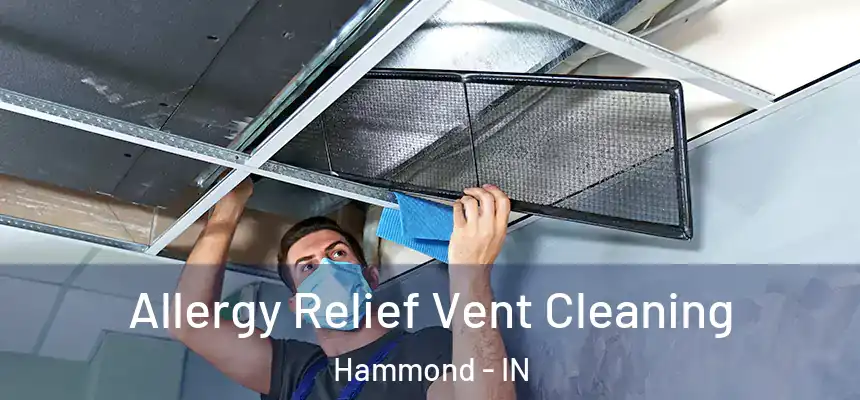 Allergy Relief Vent Cleaning Hammond - IN
