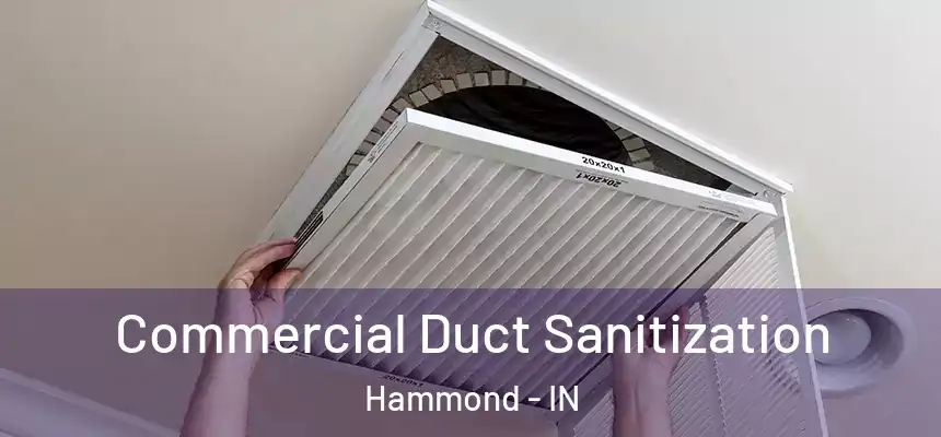 Commercial Duct Sanitization Hammond - IN