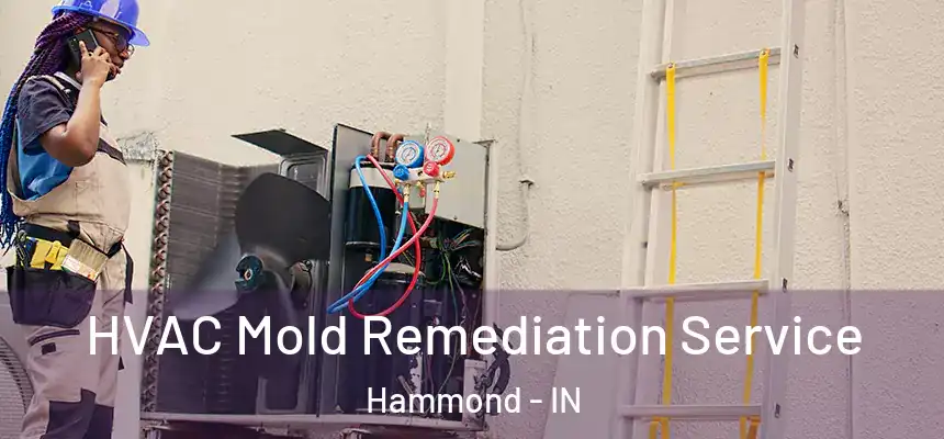 HVAC Mold Remediation Service Hammond - IN