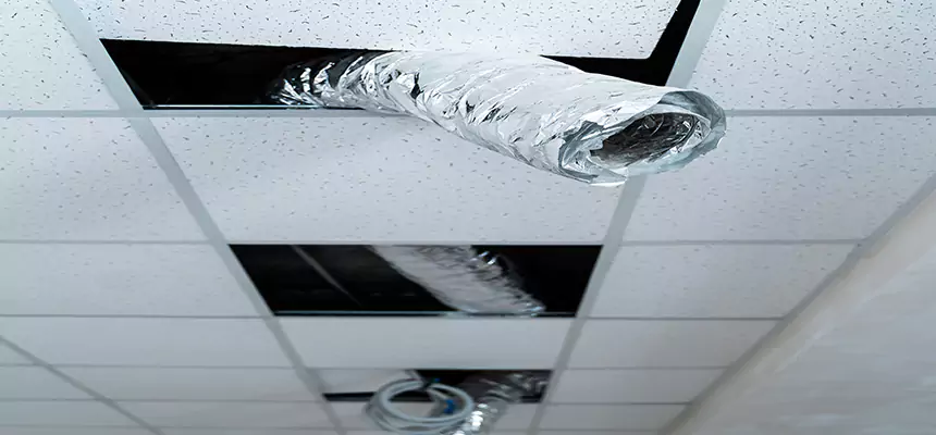 Our Air Duct Pet Hair Removal Services in Hammond, IN