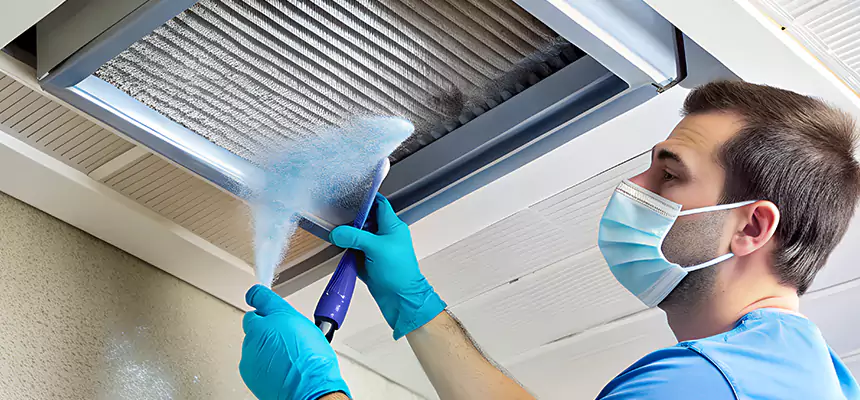 Proactive Dryer Vent & Auxiliary Duct Pollen Cleanup in Hammond, IN