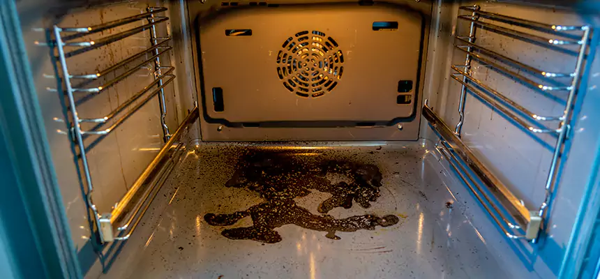 Our Dryer Vent Mold Cleaning Services in Hammond, IN