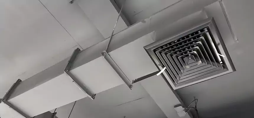 Our Rodent Droppings In Vents Services in Hammond, IN