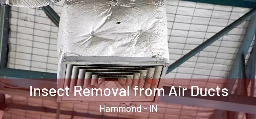  Insect Removal from Air Ducts Hammond - IN