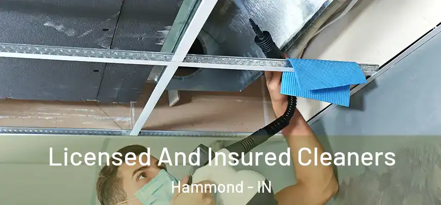 Licensed And Insured Cleaners Hammond - IN