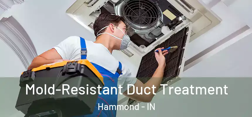  Mold-Resistant Duct Treatment Hammond - IN
