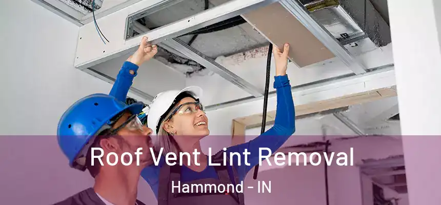 Roof Vent Lint Removal Hammond - IN
