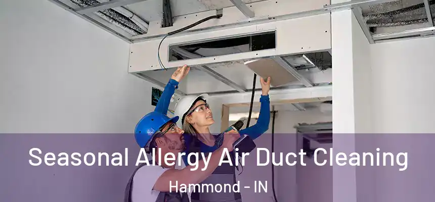  Seasonal Allergy Air Duct Cleaning Hammond - IN