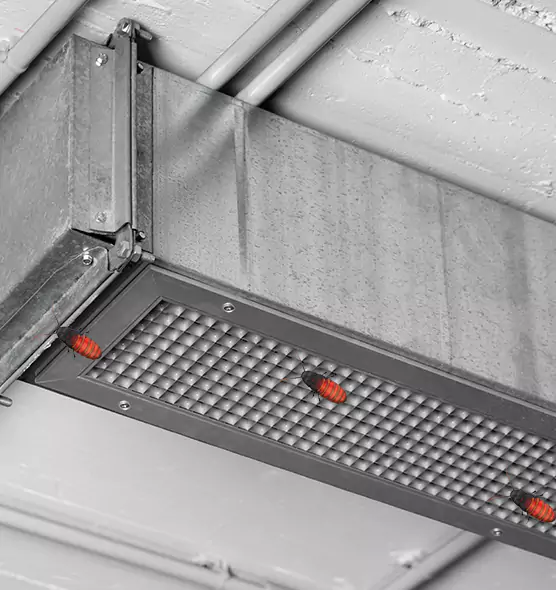 About Air Duct Cockroach Removal in Hammond, IN