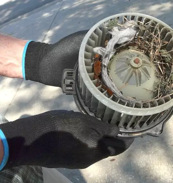 About Air Duct Mice Removal in Hammond, IN