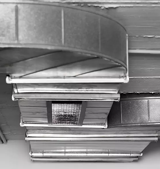 Professional Air Duct Pest Removal in Hammond, IN