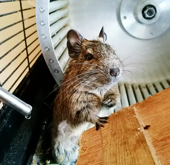 Why Homeowners & Businesses Trust Us Hammond, IN