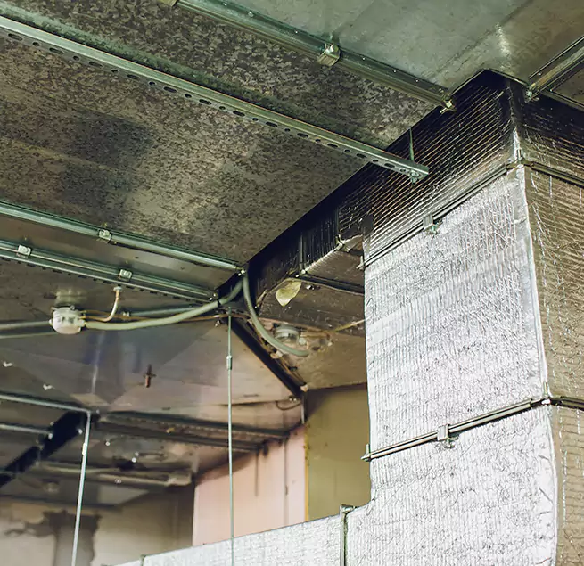 Why Homeowners & Businesses Trust Us in Hammond, IN?