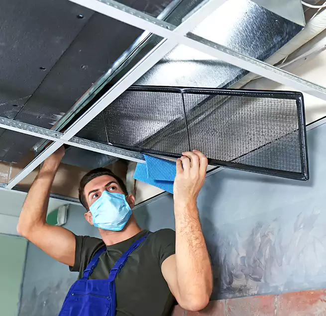 Why Homeowners Businesses Trust Us in Hammond, IN