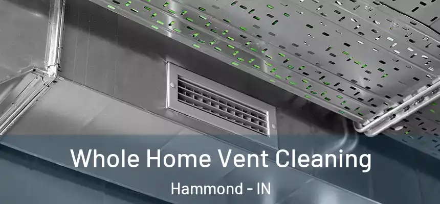 Whole Home Vent Cleaning Hammond - IN